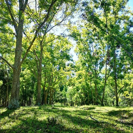 Fernhill Tented Treehouses Rheenendal Ngoại thất bức ảnh