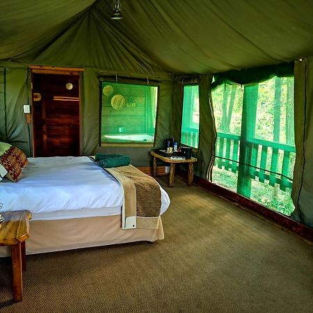Fernhill Tented Treehouses Rheenendal Ngoại thất bức ảnh