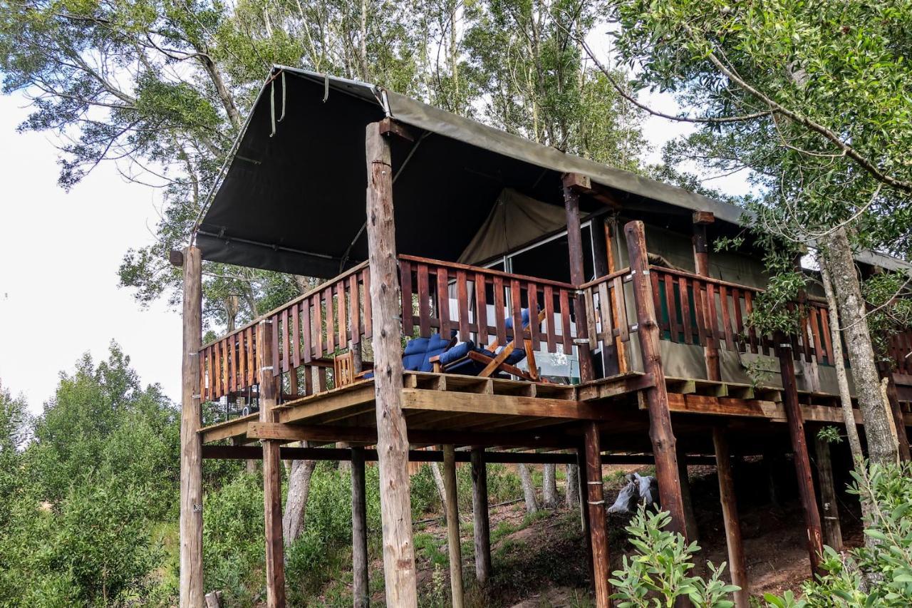 Fernhill Tented Treehouses Rheenendal Ngoại thất bức ảnh