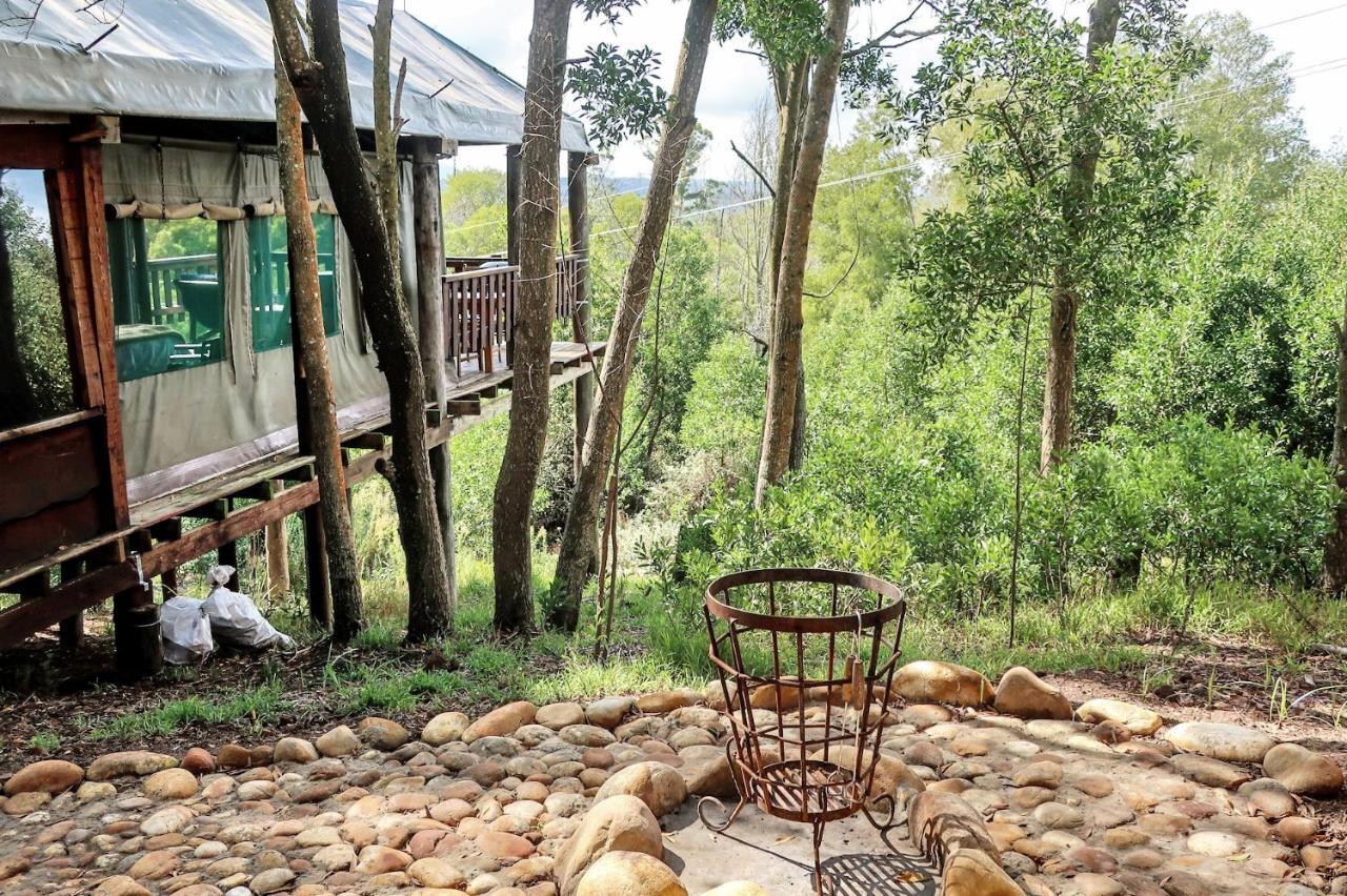 Fernhill Tented Treehouses Rheenendal Ngoại thất bức ảnh