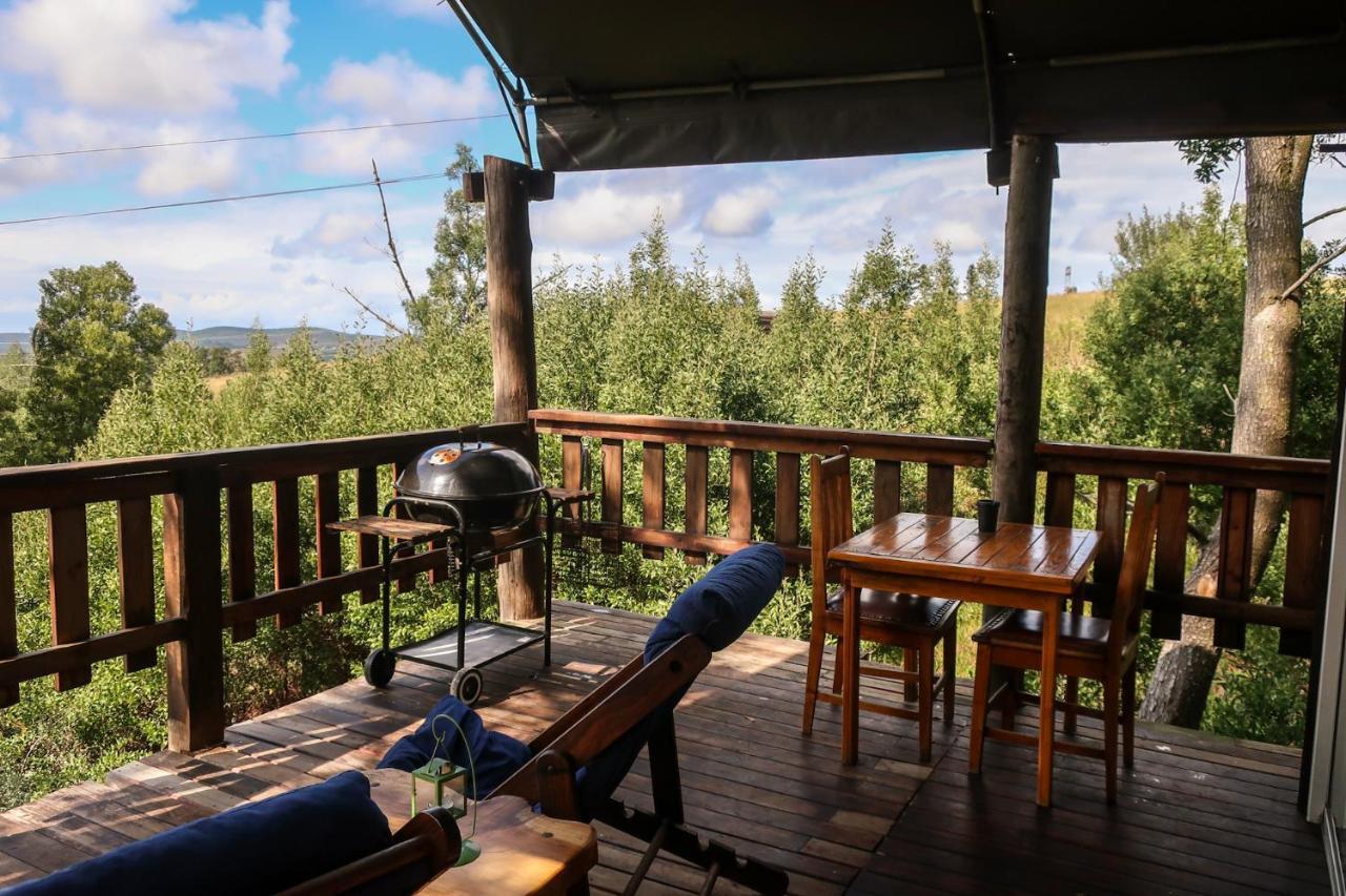 Fernhill Tented Treehouses Rheenendal Ngoại thất bức ảnh