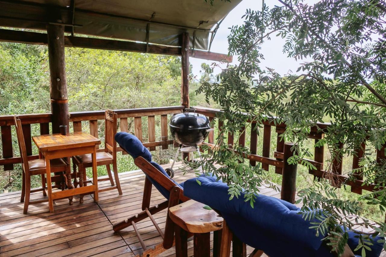 Fernhill Tented Treehouses Rheenendal Ngoại thất bức ảnh