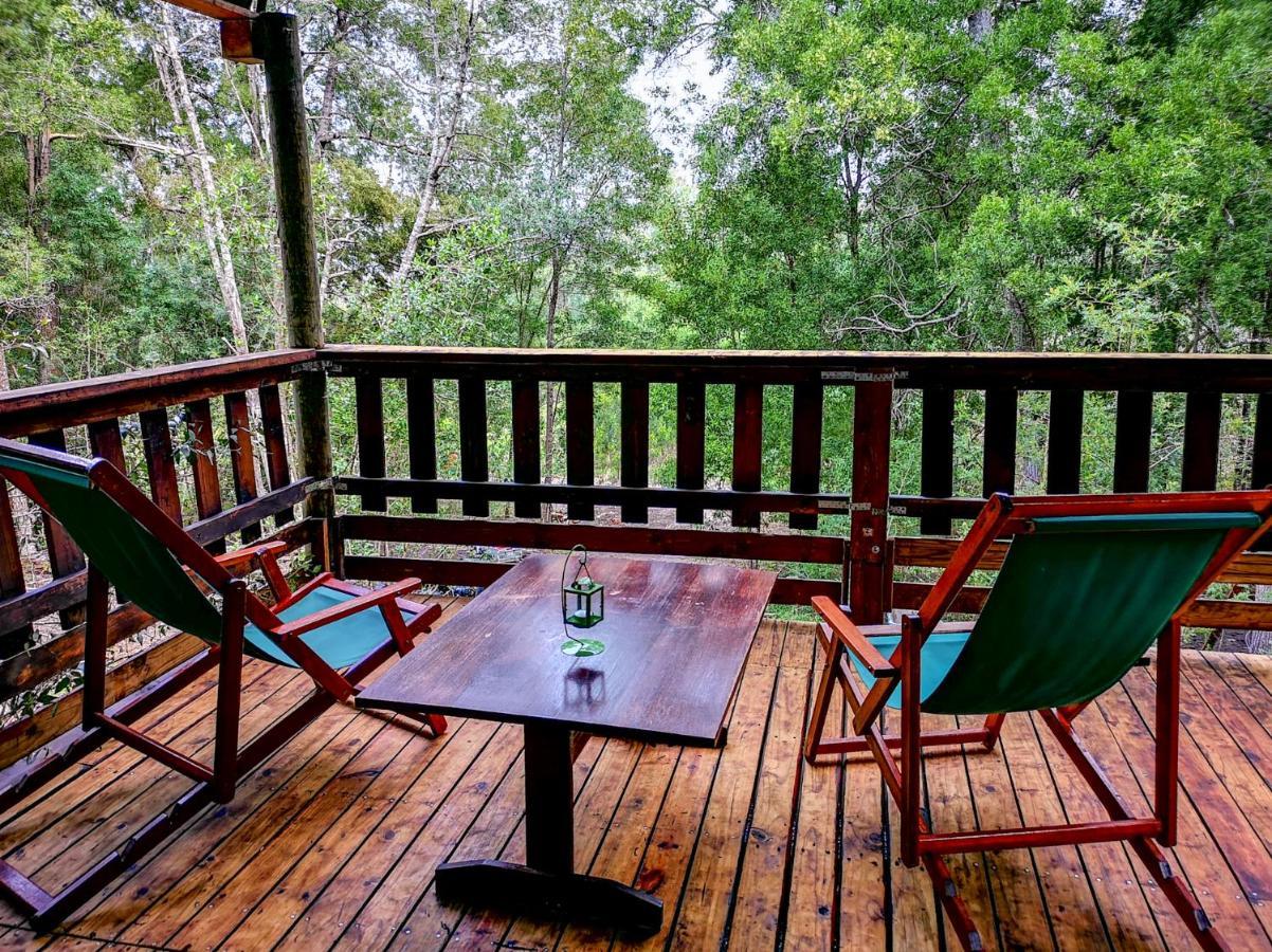 Fernhill Tented Treehouses Rheenendal Ngoại thất bức ảnh