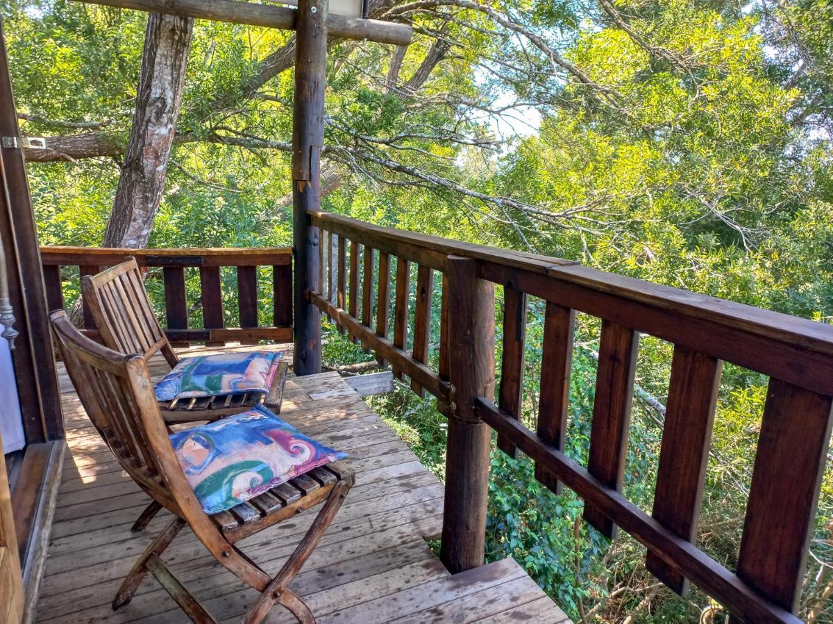 Fernhill Tented Treehouses Rheenendal Ngoại thất bức ảnh
