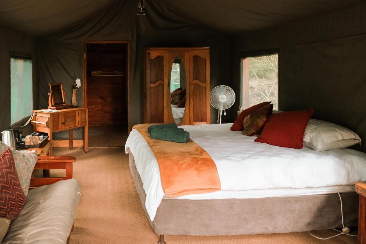 Fernhill Tented Treehouses Rheenendal Ngoại thất bức ảnh
