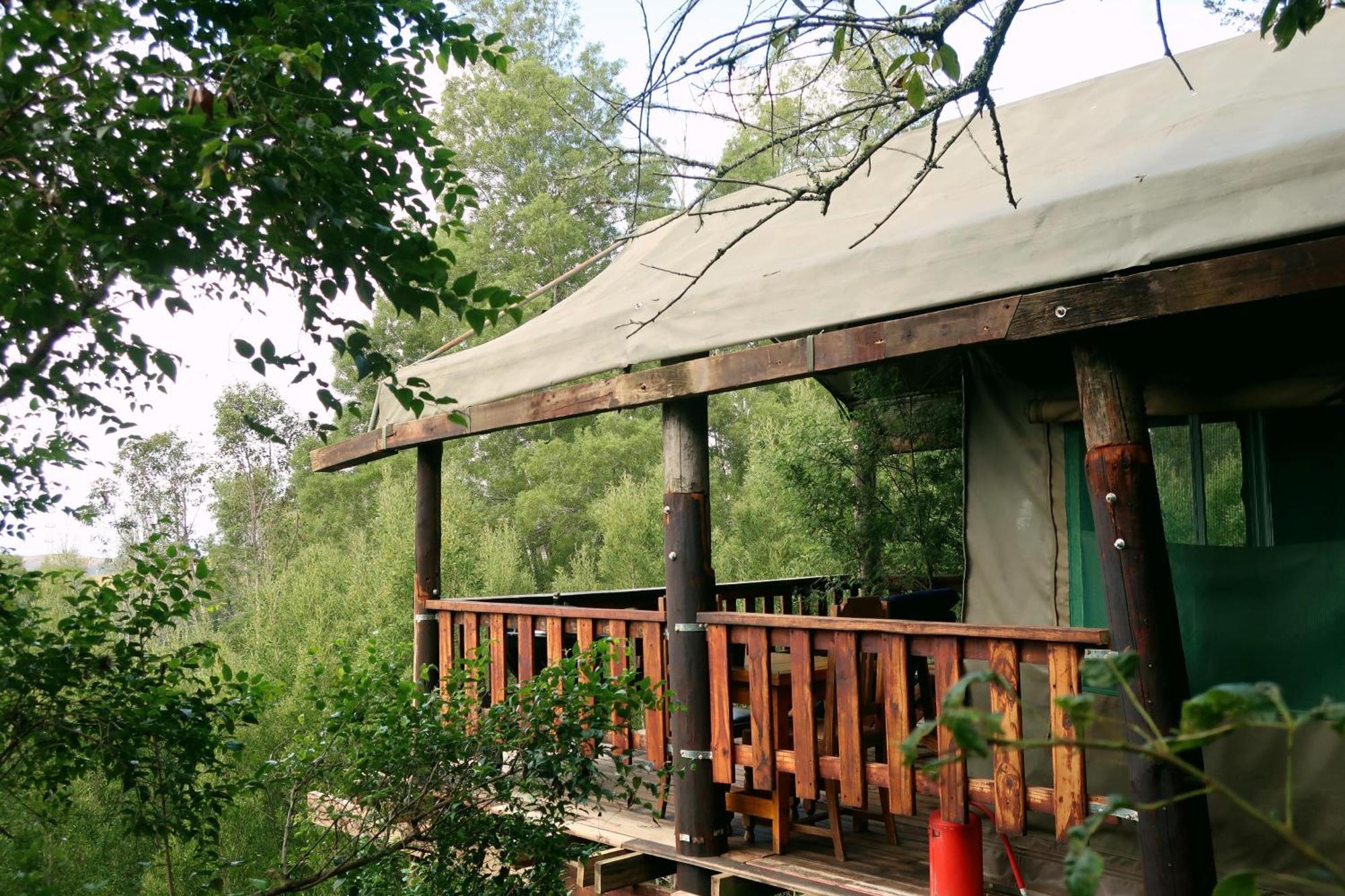 Fernhill Tented Treehouses Rheenendal Phòng bức ảnh