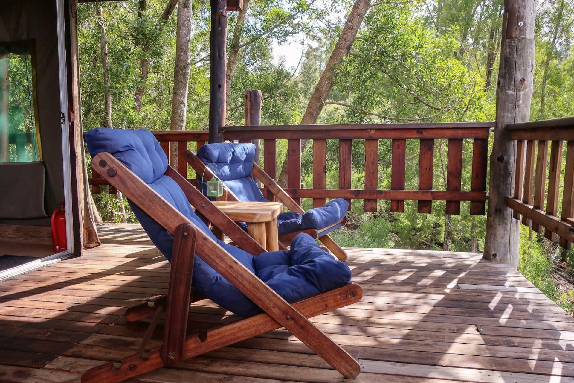 Fernhill Tented Treehouses Rheenendal Phòng bức ảnh