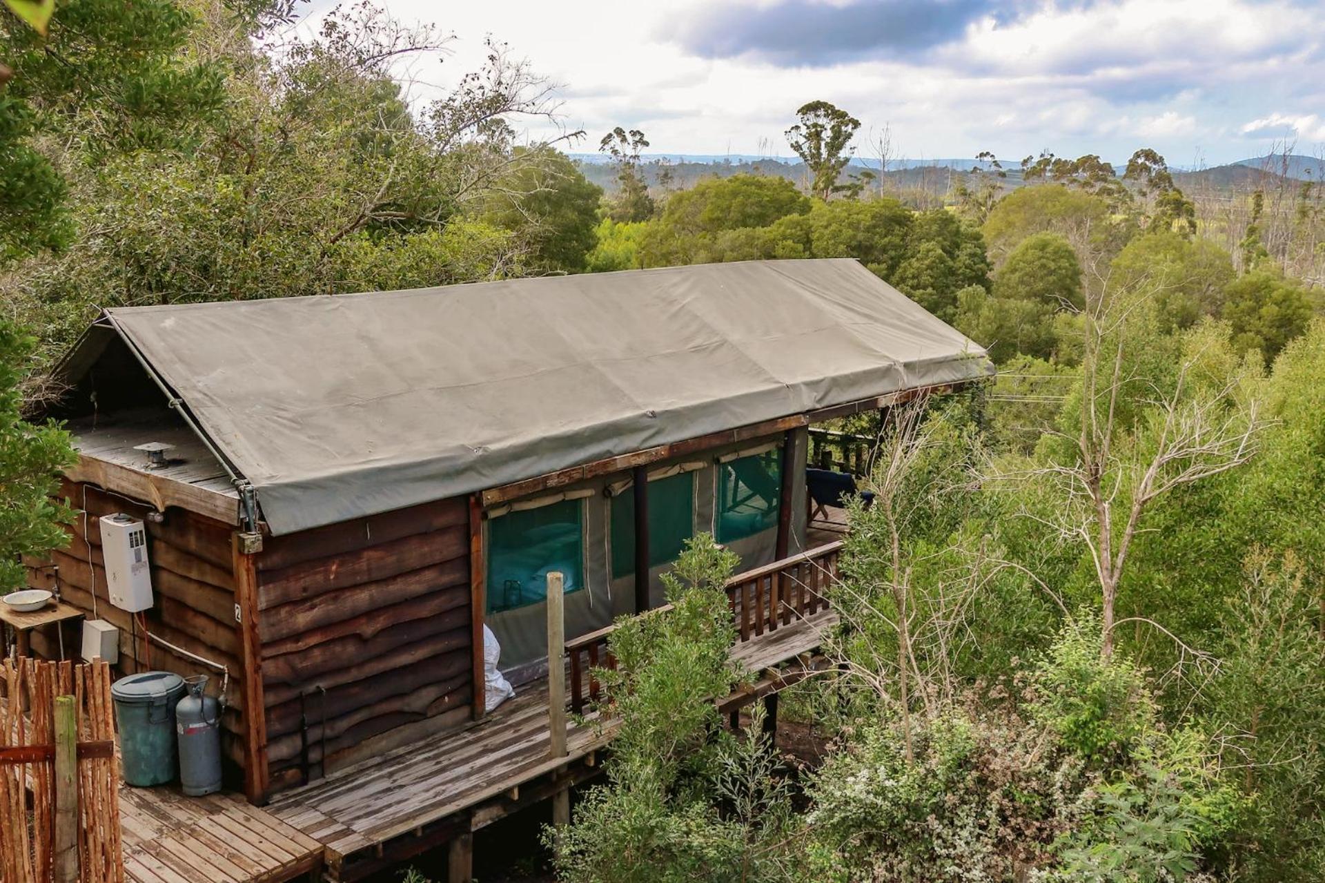 Fernhill Tented Treehouses Rheenendal Phòng bức ảnh